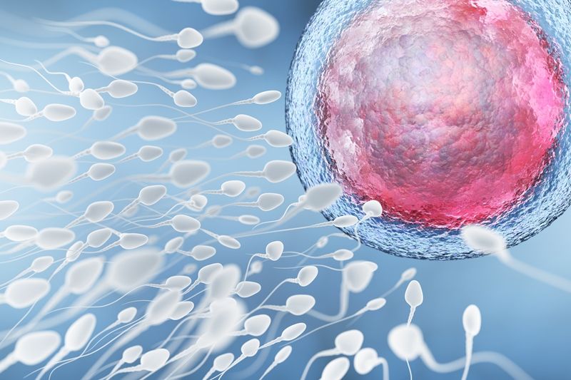 ¿El Coronavirus afecta la fertilidad masculina?