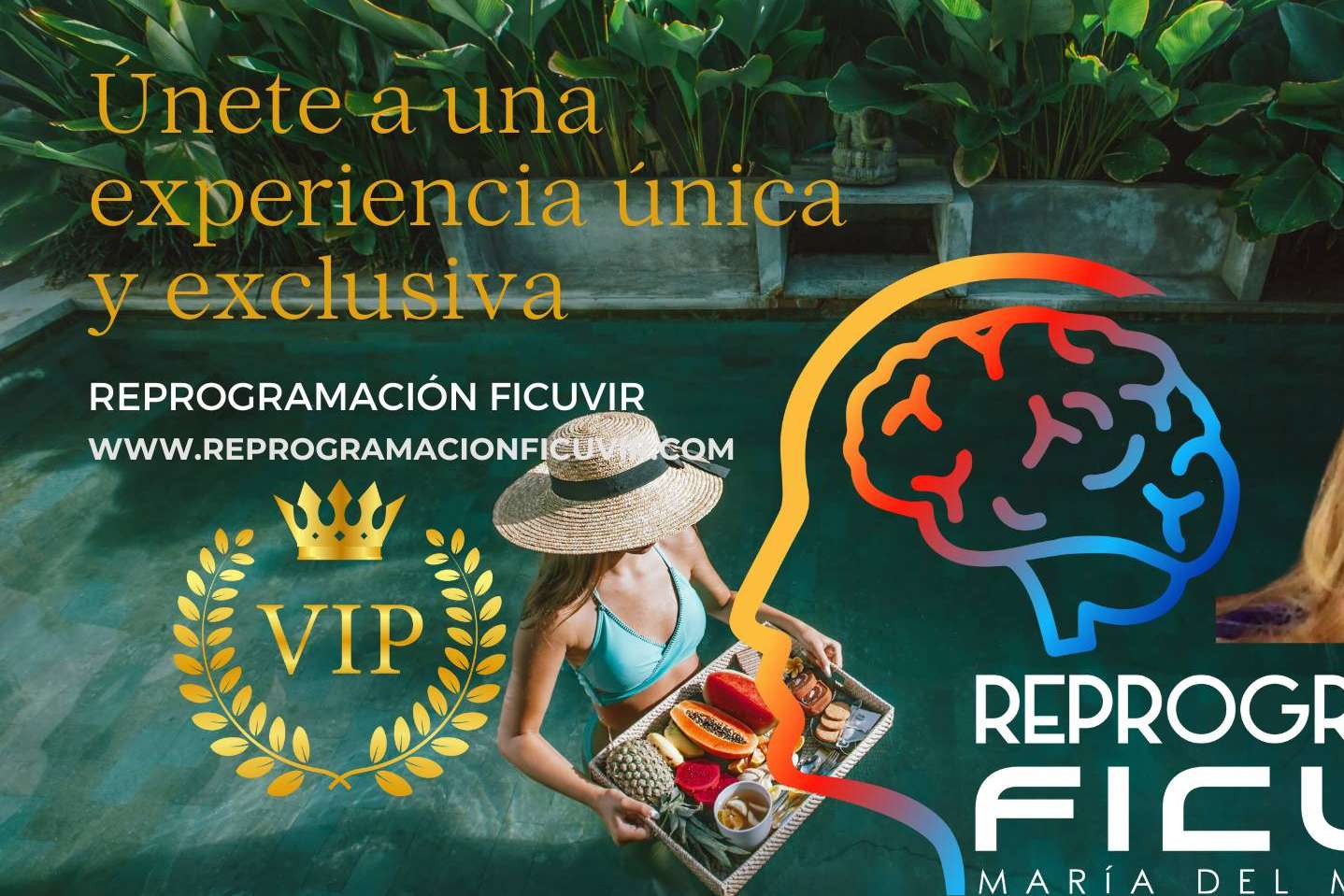 Curso de facilitador de energía Diksha con reprogramación FicuVIR