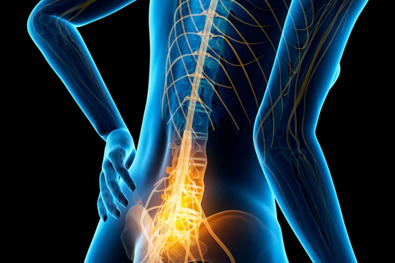 Reprogramación FicuVIR, transformando la salud en todos los niveles