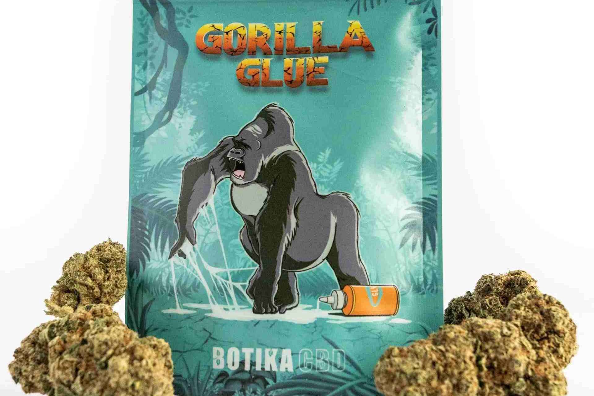 Botika CBD; Un oasis de bienestar a base de CBD