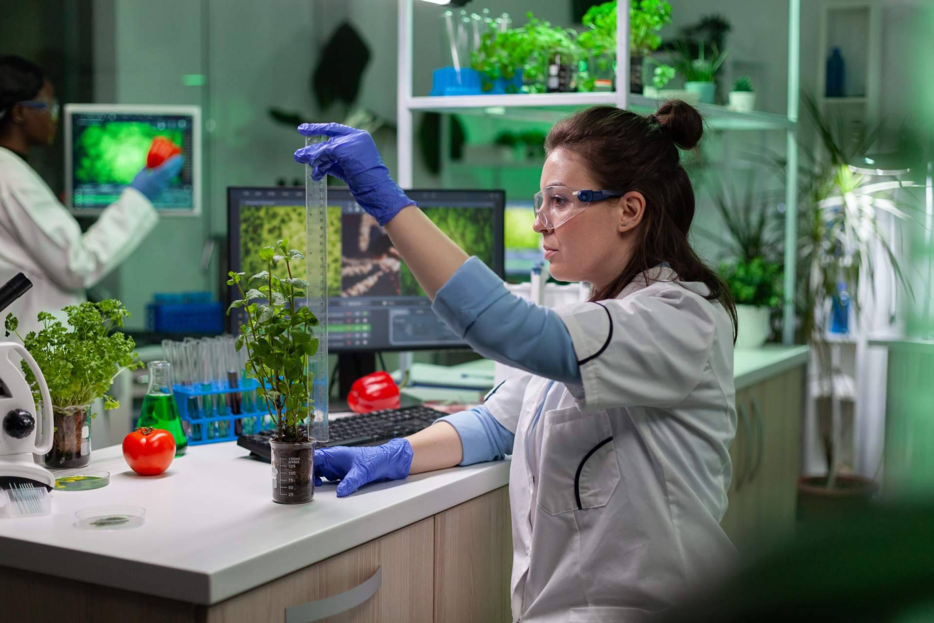 Del agro intensivo a la regeneración adaptada; Argentina ensaya el modelo del futuro