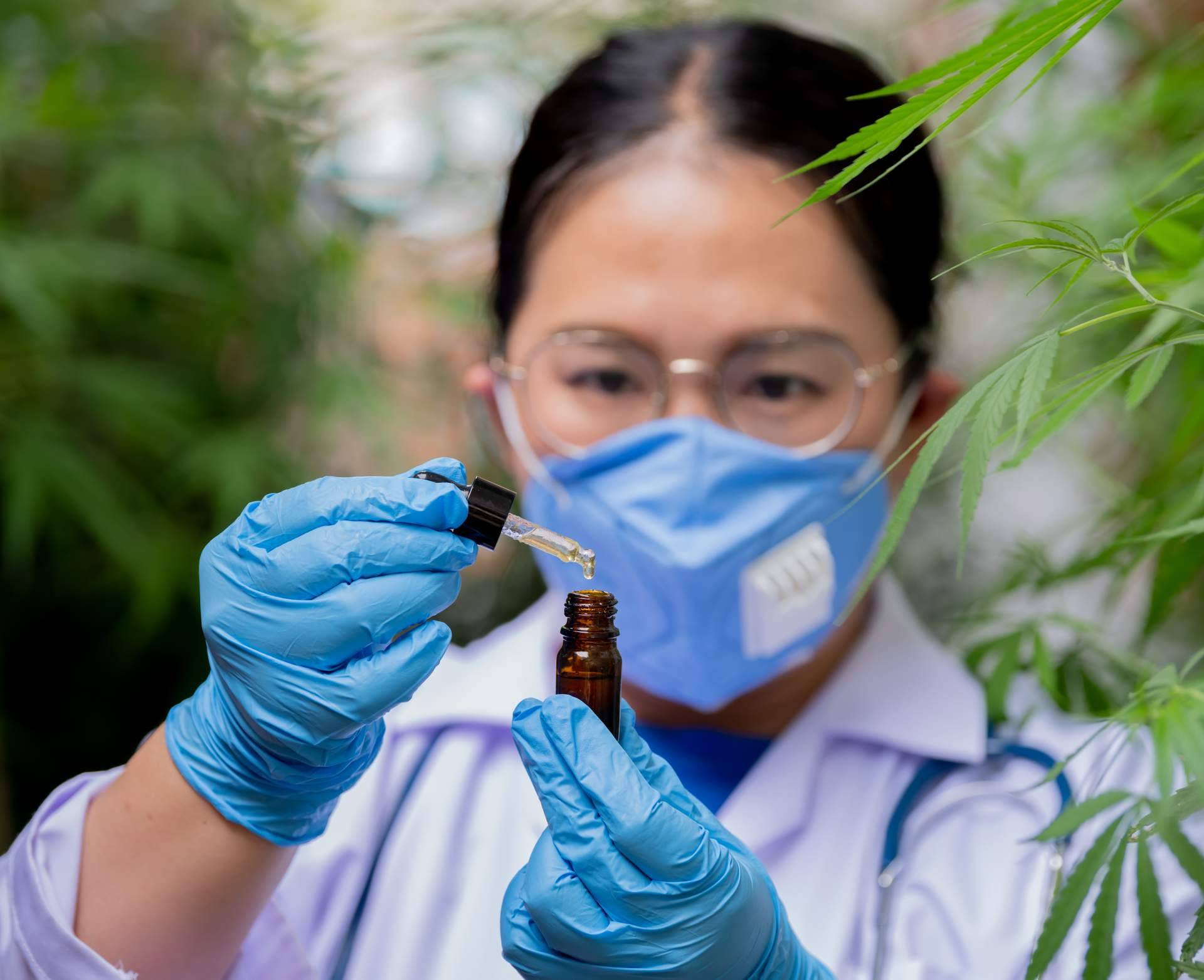 Guía completa del aceite CBD; qué es, para qué sirve y cómo usarlo